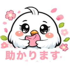 Chika kobo_20260313031502