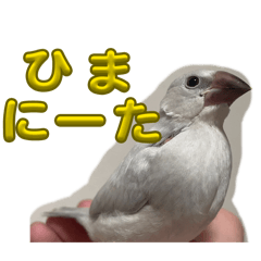 seira_20260312213554