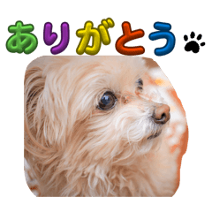 swimaki_20260312213538