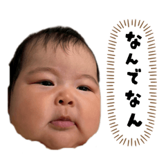 obacha_20260312213555