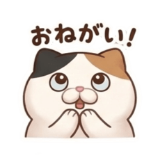 Shurinrin_20260312213054