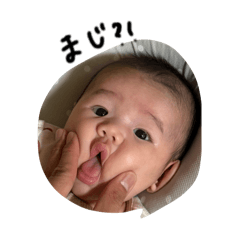 kochi_20260313103009