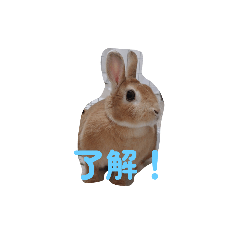 arichan_20260313104408