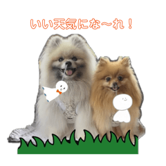 shunki_20260313105353