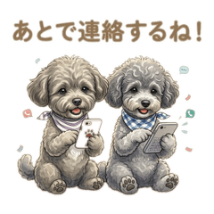YURARI_20260313105752