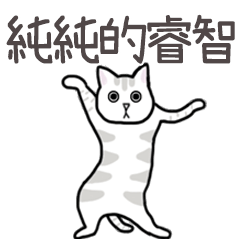 Miss A:扭扭貓之這世界好難