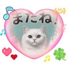 Itomaco_20260312125259