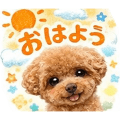 kakkontooo_20260312154856