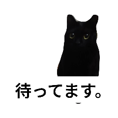 moyashi_20260309191339