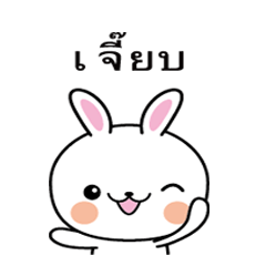 Rabbit Sticker 165