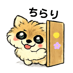 MAIHASEGAWA_20260313003148