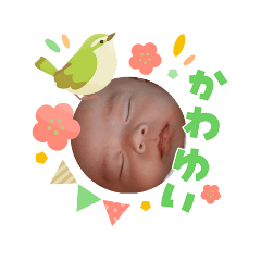 yurina_20260313001613