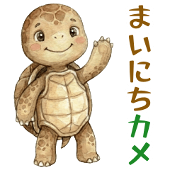 Everyday Turtle - For All Year