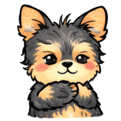 ยอร์กเชอร์เทร์เรียร์ สุดน่ารัก