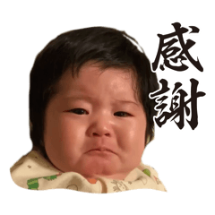 K_20260313004210