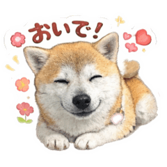 Kinatsustanp