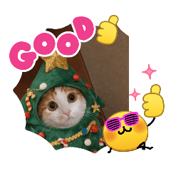 yamashita_20260312161346