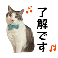 serachin_20260312191206