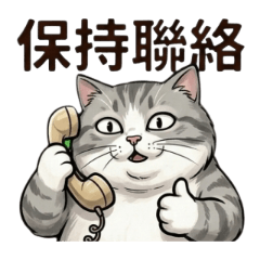 胖灰貓的搞笑日常