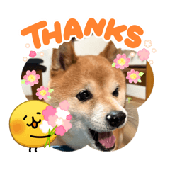 yukirin_20260313110933