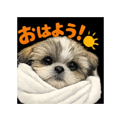 pudding_20260312164940