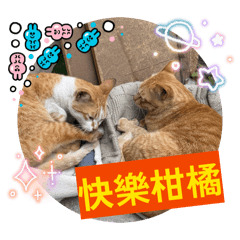 柑橘姊妹3日常篇