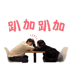 動來動去的貓貓趴兔