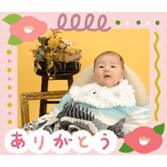 k_20260312223258