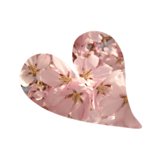Flower Heart 2