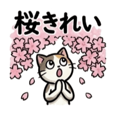 Spring Cat Everyday Stickers 40