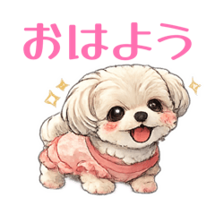 suzu_20260313035623