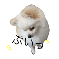 Mocomoco stamp