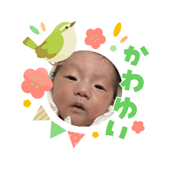 masa_20260312175826