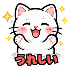 Cute White Cat Reactions-k