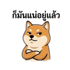 Dog bugging