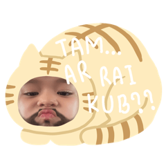 qxilce_20260312211038