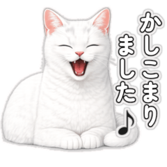 No.16 Ume the White Cat Polite Stickers