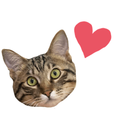 marie_20260313124638