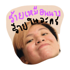 เรื่องของแฮม