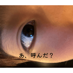 nattu_20260313085755