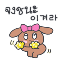 My dog, KooKee 2 (Korean - Thai)