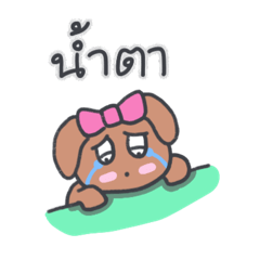 My dog, KooKee 2 (Thai)