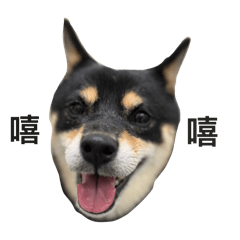 謝小迪