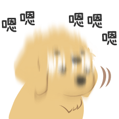 kesanitw - Sincere Golden Puppy