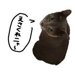 k_023rn_20260309233847