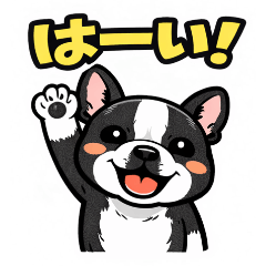 French Bulldog Pied  Greetings