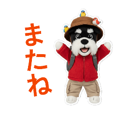 musakojigenki_20260313144635