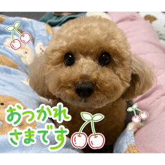 daifuku_20260313151028