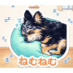 rhsj_223_20260313151502