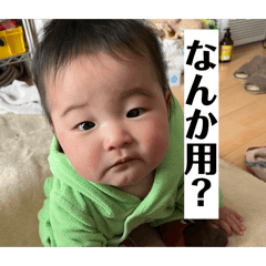 Dolongochubo_20260310093223